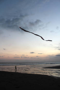 Bali - Kites all over Bali