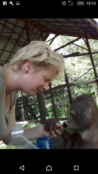 Kalimantan - Koekje delen 