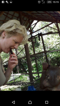 Kalimantan - Got cookies?