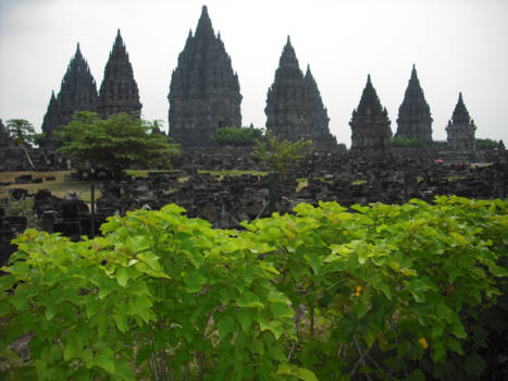 Java - Java, mijn geboorte eiland