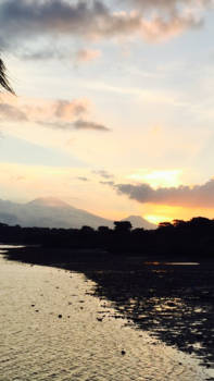 Bali - Geniet van alles zolang het nog kan!