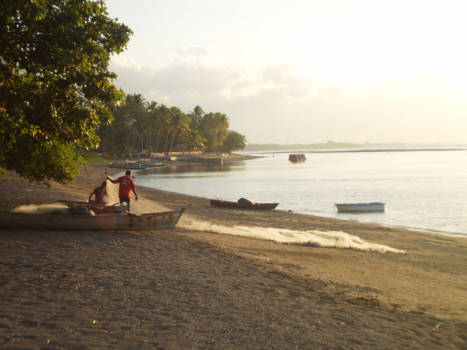 Flores - Beach near Maumere