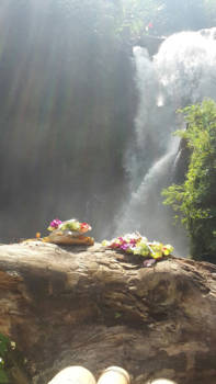 Bali - Nooit meer naar huis 