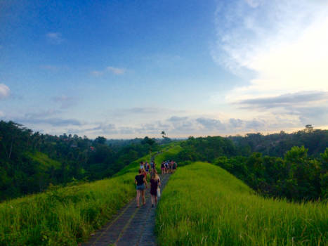 Ubud - the path to happiness