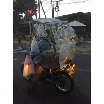 Bali - Vissen vervoeren op een scooter? Waarom niet...