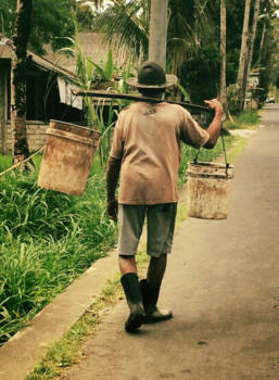 Bali - Balinese boer