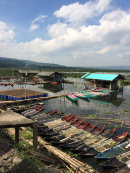 Java - Vissersboten tussen de rijstvelden bij Ambarawa