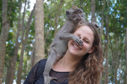 Monkey Forest - My little friend