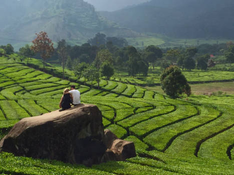 Bandung - #relationshipgoals