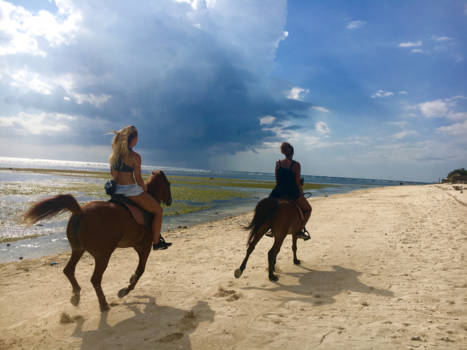 Gili-eilanden - Freedom