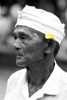 Ubud - grandpa with jasmin in Ubud, Bali