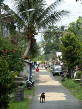 Ubud - Het Balinese plattelandsleven (Ubud)