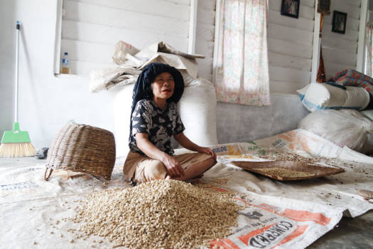 Sumatra - Bedankt voor de koffie mevrouw.