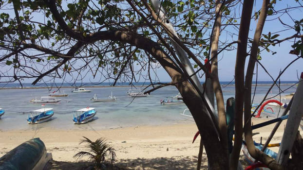 Sanur - Sanur vissers