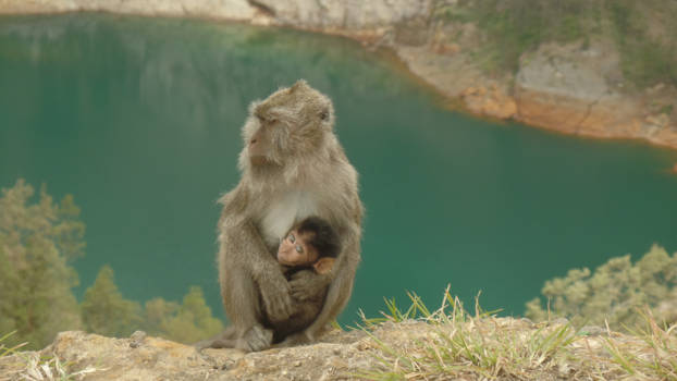Flores - moeder met kind op kilimantu