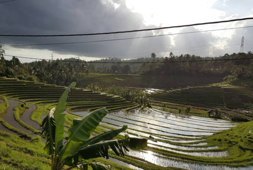Bali - Onbekende schoonheid