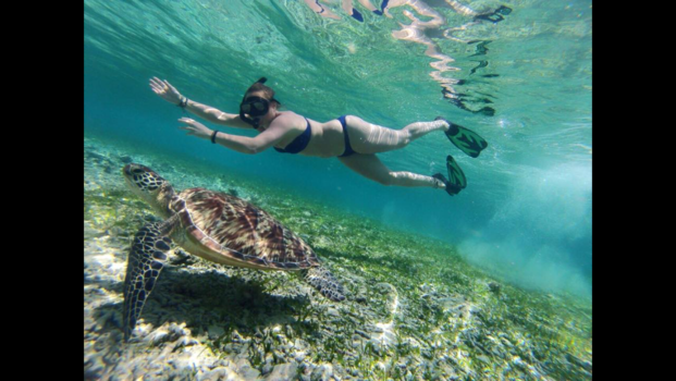 Gili-eilanden - Zwemmen met the turtle