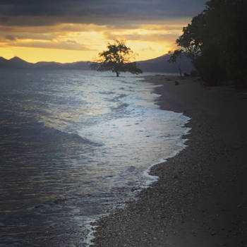 Ceram - Pohon piatu: Ceram -Hatusua