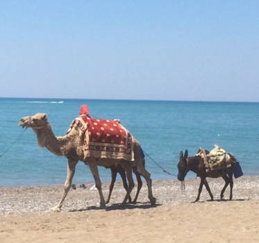 Bali - Samen komen we er wel