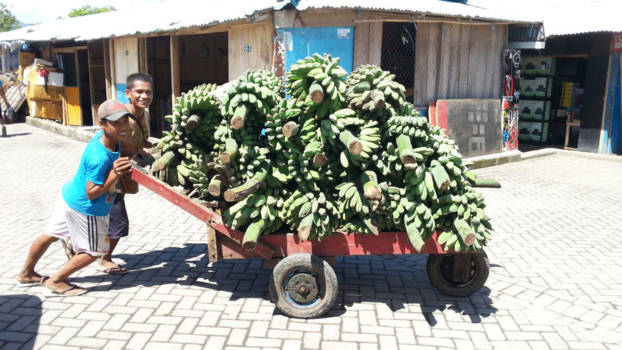 Sulawesi - Bananentransport in de haven van Manado