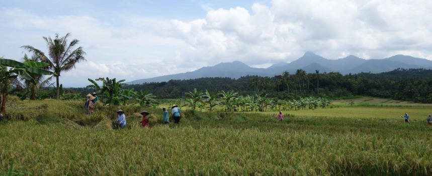 Bali - Zoveel moois in één foto! Nigara, Bali