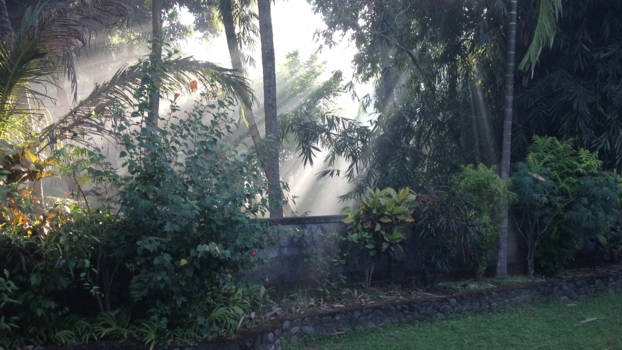 Bali - Ochtendgloren in Tejakula