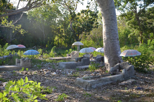 Bali - Hemelse parasolletjes