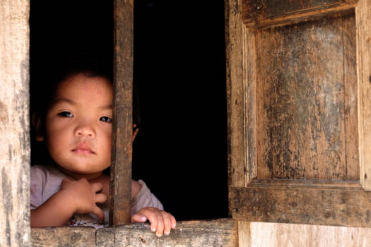 Sumatra - Daydreamer