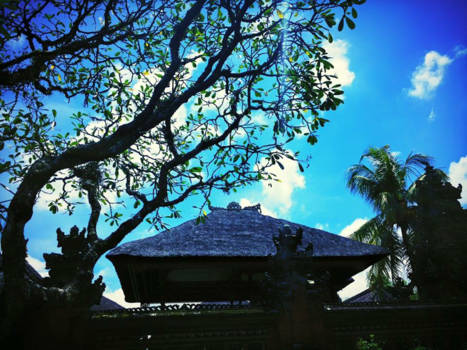 Denpasar - Bali❤️2016, zonsondergang Ubud