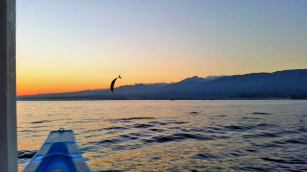 Lovina - Dolfijnen spotten in Lovina