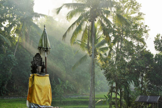 Ubud - Discovering the beauty of Bali when walking to Gunug Kawi Temple, Indonesia