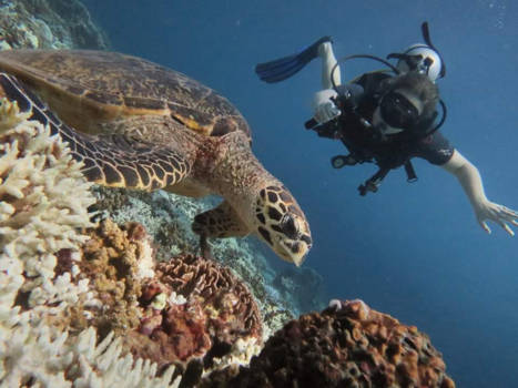 Gili-eilanden - Hey you!