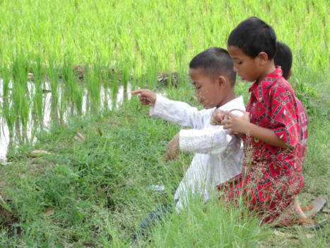 Java - Spelende kinderen in de Sawa - Bogor