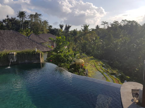 Ubud - Uitzicht over de rijstvelden in Ubud