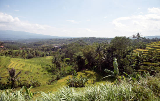 Java - Landschap tussen Bandung en Yogyakarta