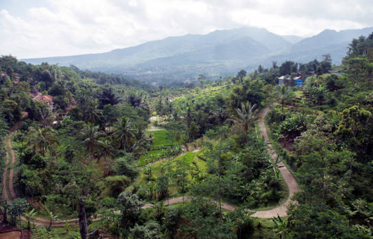 Java - Landschap tussen Bandung en Yogyakarta