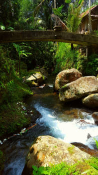 Bali - Schitterende natuur.