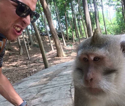 Monkey Forest - Intimidating as a natural habit