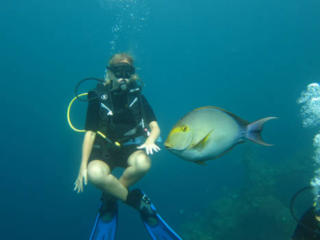 USS Liberty Shipwreck