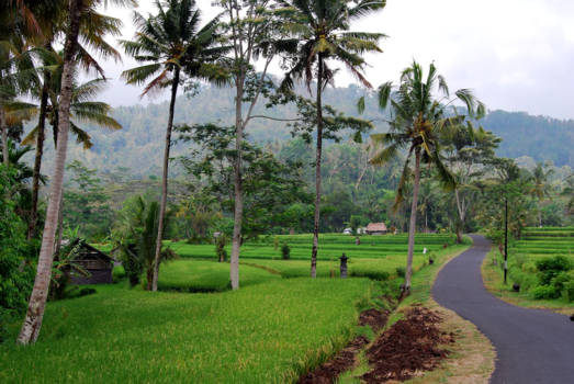 Bali - Sidemen Karangasem - schitterende wandeling