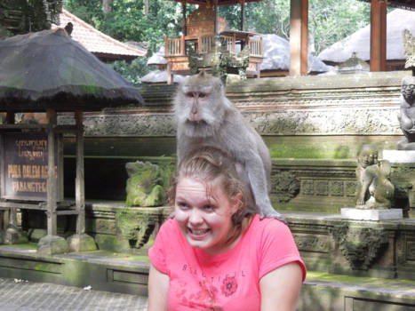 Bali - Toch wel eng hoor zo'n aap in je nek.