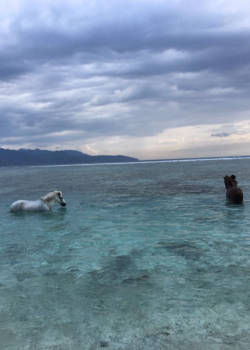 Gili-eilanden - Even afkoelen