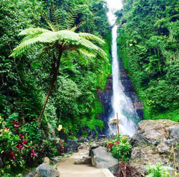 Bali - Gitgit Waterfalls