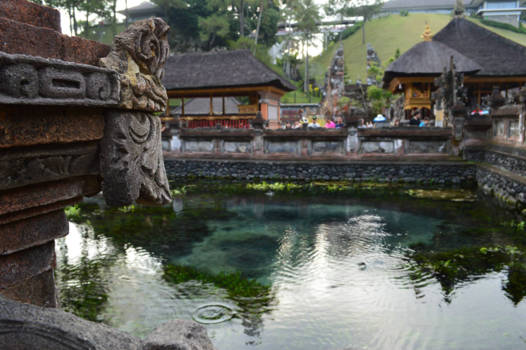 Bali - Tirta Empul