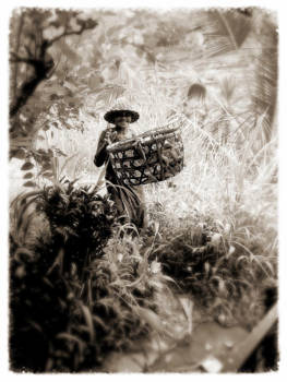 Bali - Terug in de tijd....