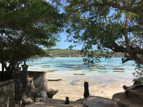 Bali - Zeewier plantage Nusa Lembongang