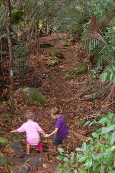 Kalimantan - in het oerwoud op zoek naar de 'orang Belanda'