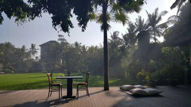 Ubud - Zen moment, Ubud, Bali