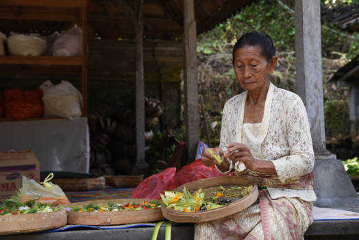 Bali - jong geleerd is oud gedaan