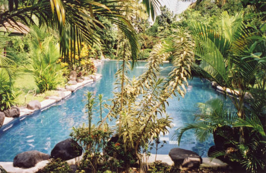 Bali - Secret Mountain Bali interior